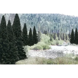TR1586 - 13 Fir Trees 4" - 6" Tall - Quality Trains and Accessories Galore> Cheap